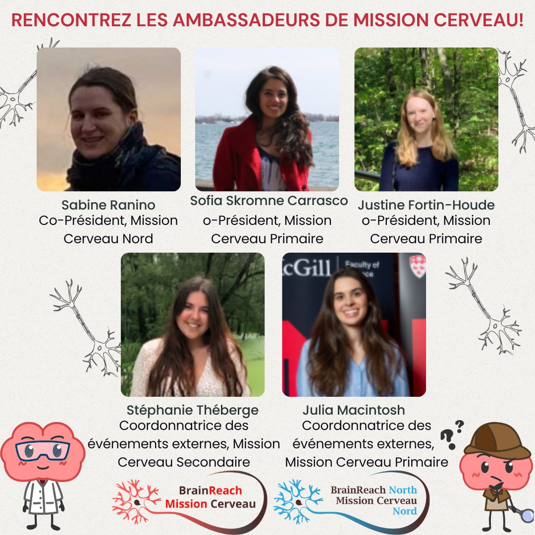 BrainReach - Mission Cerveau tweet media