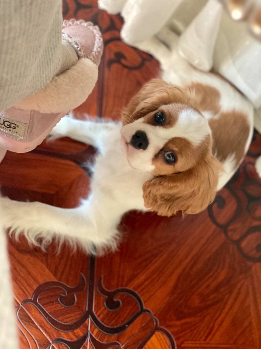 There are two sides to everything. An egg, when broken from the outside, is food; when broken from the inside, it is life.