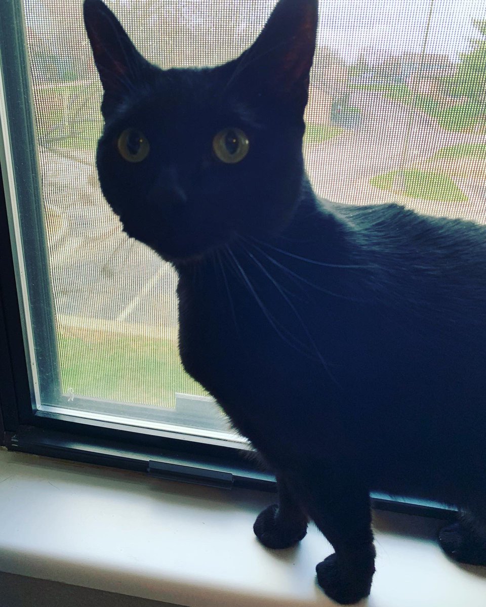 Welcome to the family, Sebastian!