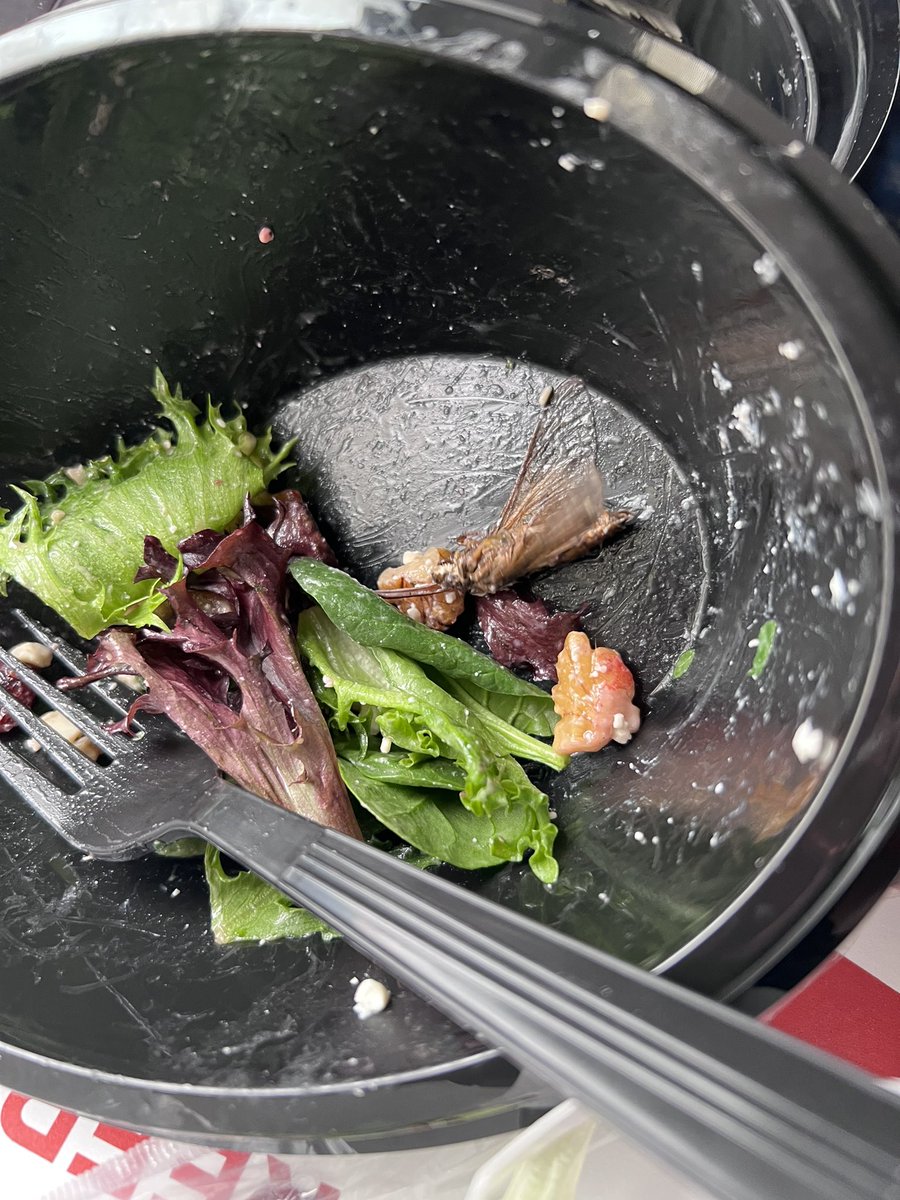 NancyKupersmith's tweet photo. @Amtrak Seriously! Large live bug at bottom of my salad from Cafe Car! Disgusting and unacceptable https://t.co/EDr1camgSh