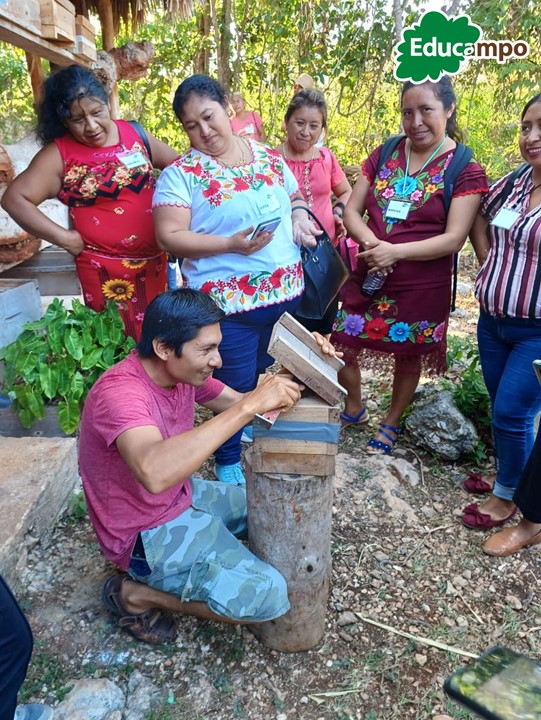 EducampoMX's tweet photo. investigación referentes a la #meliponicultura y la calidad de las mieles. 🐝🍯

¡Gracias por fomentar en las productoras este intercambio de experiencias y seguir #SembrandoTrabajo! #AliadosEducampo 🙌 https://t.co/k03e9e7YvZ