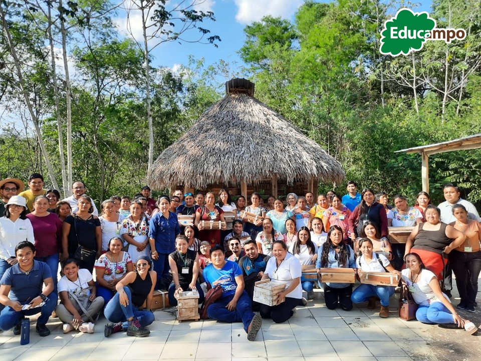 EducampoMX's tweet photo. investigación referentes a la #meliponicultura y la calidad de las mieles. 🐝🍯

¡Gracias por fomentar en las productoras este intercambio de experiencias y seguir #SembrandoTrabajo! #AliadosEducampo 🙌 https://t.co/k03e9e7YvZ