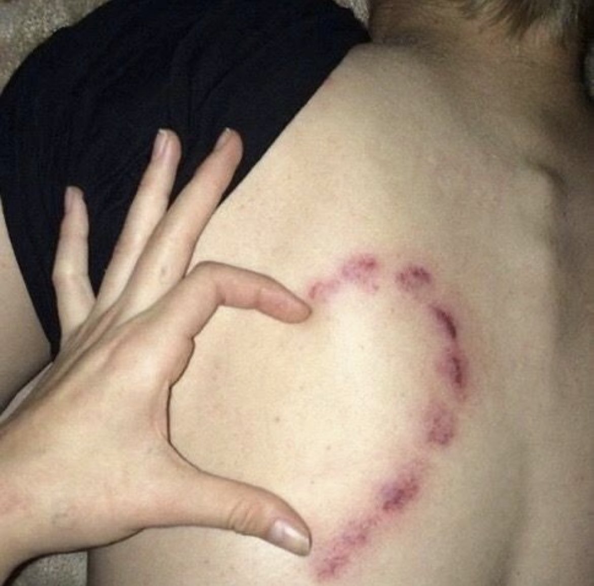 HabbletCreate's tweet image. ♡