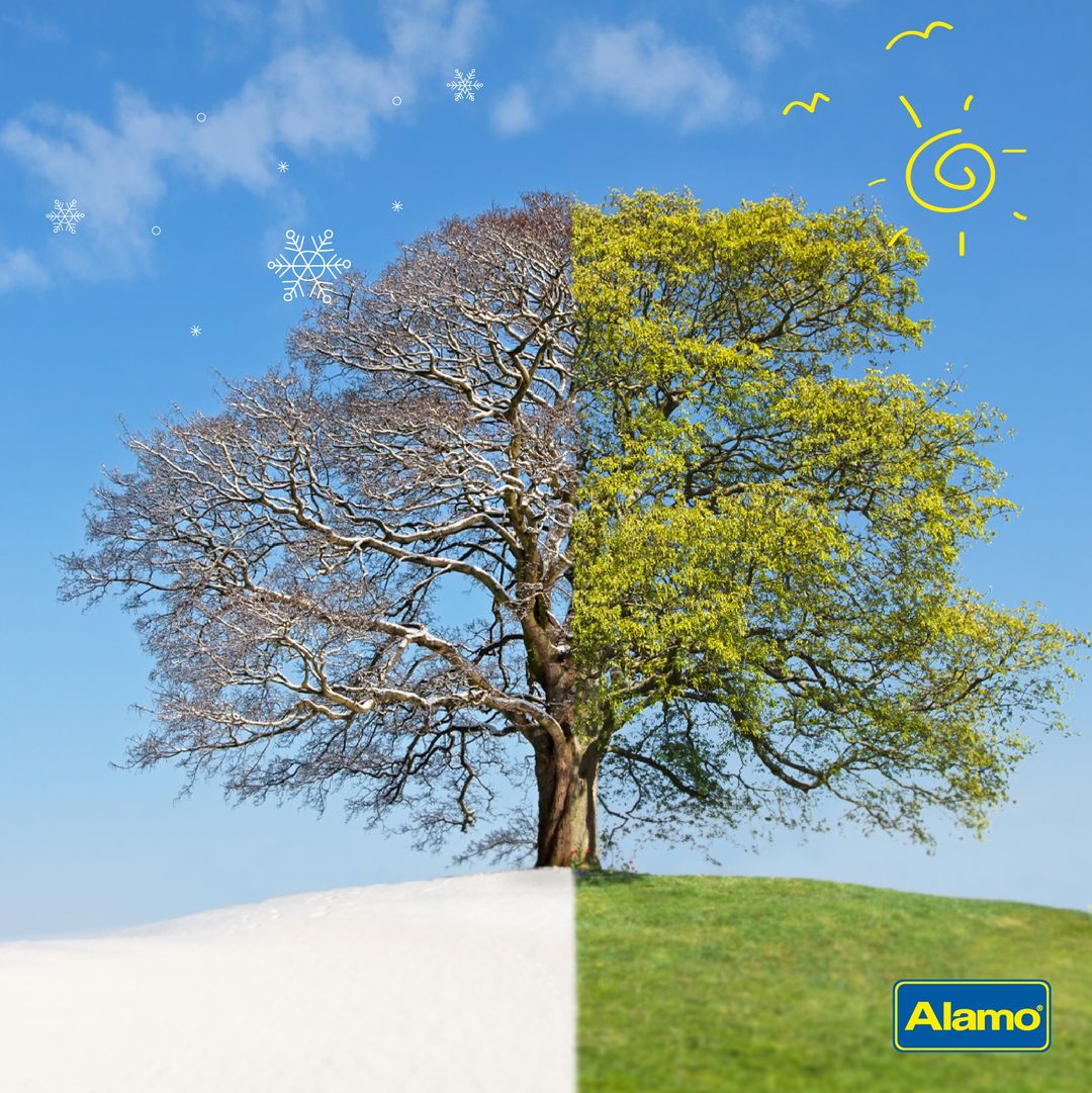 AlamoCarJo's tweet image. Spring or Winter: which season is the best for road trips? It's a tough choice! In Spring, you'll enjoy the scenery and warm weather, while in winter, you’ll enjoy warm cups of tea and winter activities!

#Alamo #Springtravels #winter