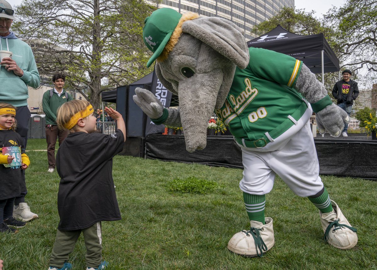 eatlearnplay's tweet image. #FBF to some of our favorite memories from the @oaklandmarathon @eatlearnplay Kids Fun Run a few weeks back. Check out more photos and a special message to all the young runners from @StephenCurry30: eatlearnplay.org/blog/oakland-m…

Photo credits: @LiPoChing