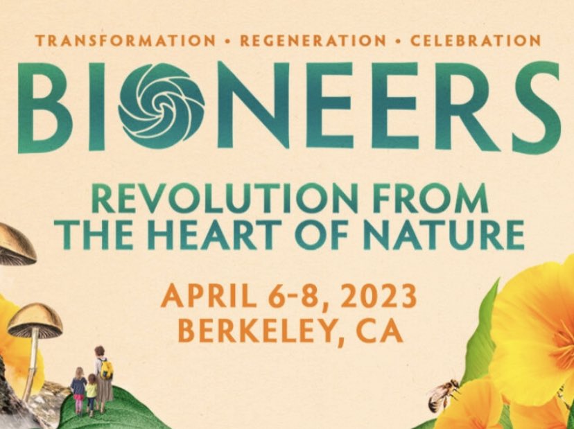 Road Trip USA Guide tweet media