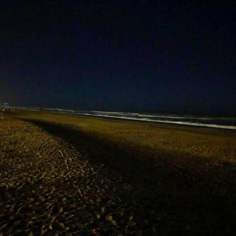SentidoPinamar's tweet photo. De noche, la playa tiene un encanto único 🌊🌒 https://t.co/j3xmGrc7td