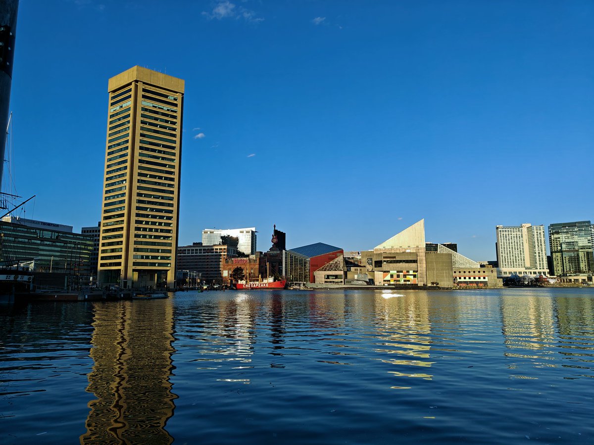 Xin Dang, Ph.D. tweet media