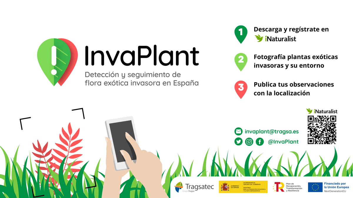 InvaPlant tweet media
