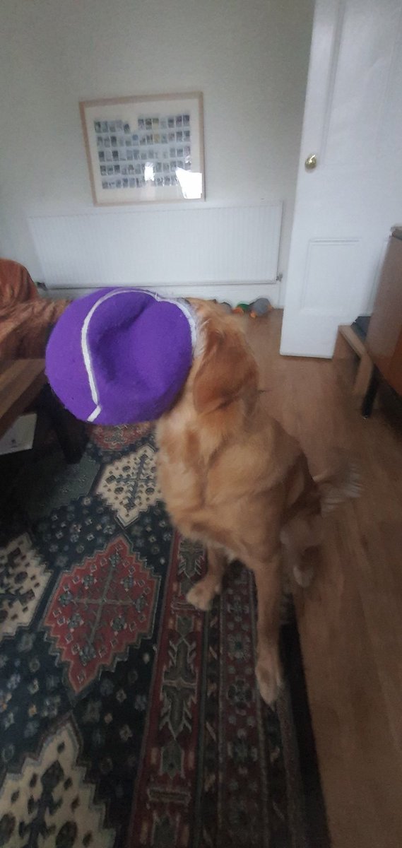 Shit quality but in my defence I'm lucky to even get the photo 😂