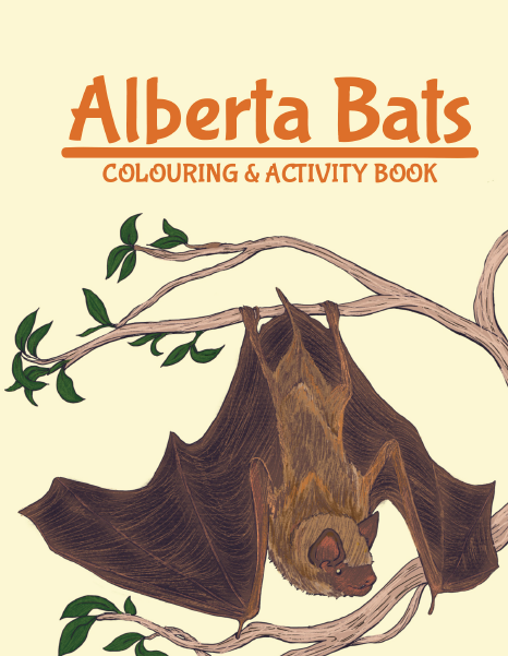 Apparently it is #NationalCrayonDay! We have a FREE DOWNLOADABLE colouring book for that! And it is #Awesome! #AlbertaBats #LearnAboutBats
albertabats.ca/wp-content/upl…