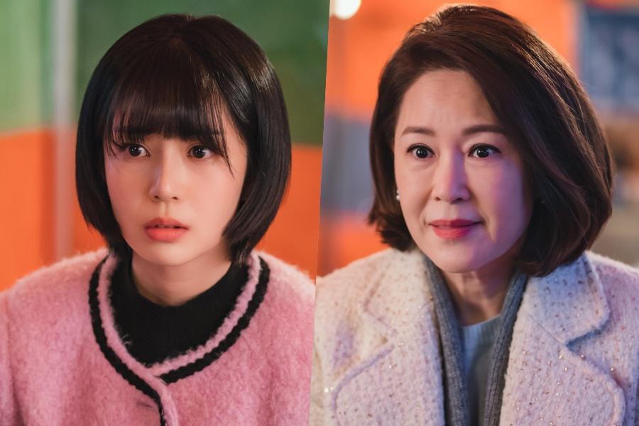 Mimu_Hanaka's tweet photo. Baek Jin Hee Runs Into Trouble While Meeting With Ahn Jae Hyun’s Mother Cha Hwa Yeon In “The Real Has Come!” https://t.co/65L7a9fgKI https://t.co/kMPEnBSYvo