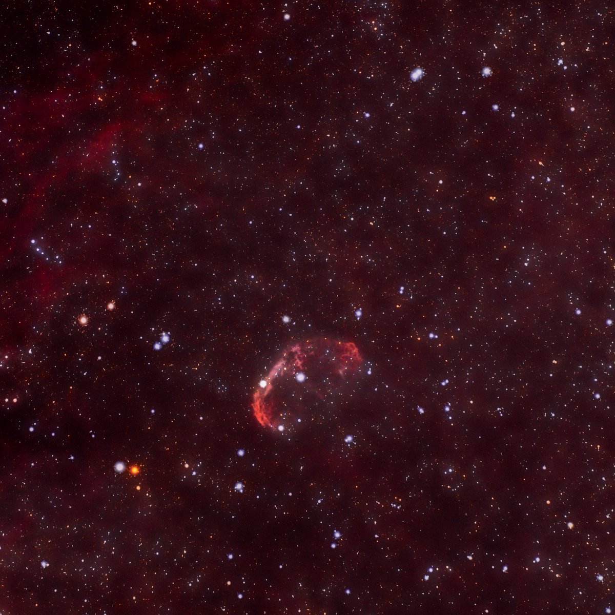 elbuscadorpolar's tweet image. #NGC6888 / #C27 / The Crescent nebula. Noisy reprocess using #astrobackyard star reduce routine. #astrophotography #astrophoto #astrofotografia #ASI533MCPro #skywatcher #evostar72ed #asiair #pixinsight #topazdenoise #luminar