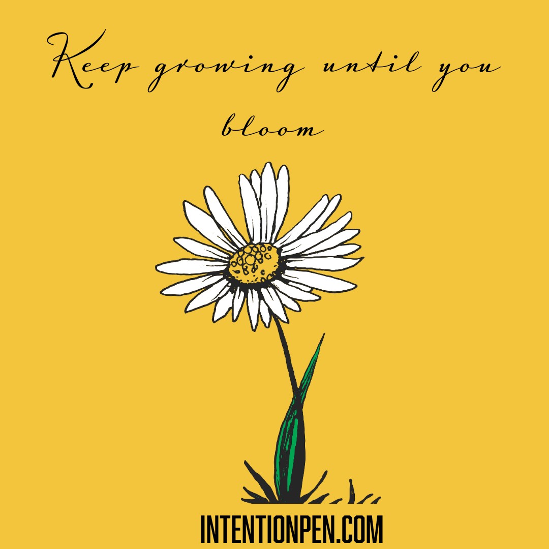IntentionPens's tweet photo. Keep growing until you bloom.
.
.
.
.
#quote #quoteoftheday #Picasso #quotestoliveby #quotesdaily #quotesgram #quotesaboutlife #inspirationalquotes #motivationalquotes #wordsofwisdom #lifequotes #lovequotes #quotes #quotestagram #quotesofinstagram #instaquotes #quotesofig #goodq https://t.co/DDrmsGGU27