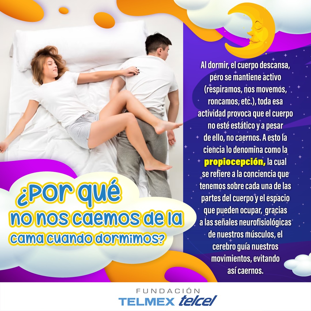 Fund Telmex Telcel On Twitter Al Parecer Nuestro Sentido De