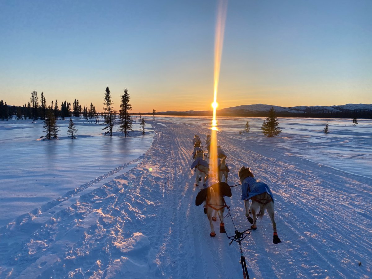 DallasSeavey's tweet photo. Living in Alaska means snow and cold weather are just part of life. But for me and my sled dogs, it's the perfect weather for mushing! 🐕

#sleddogs #AlaskaLife #MushersWeather #alaskalive #doglove #alaskanhuskies https://t.co/1Zf7dYCbc5