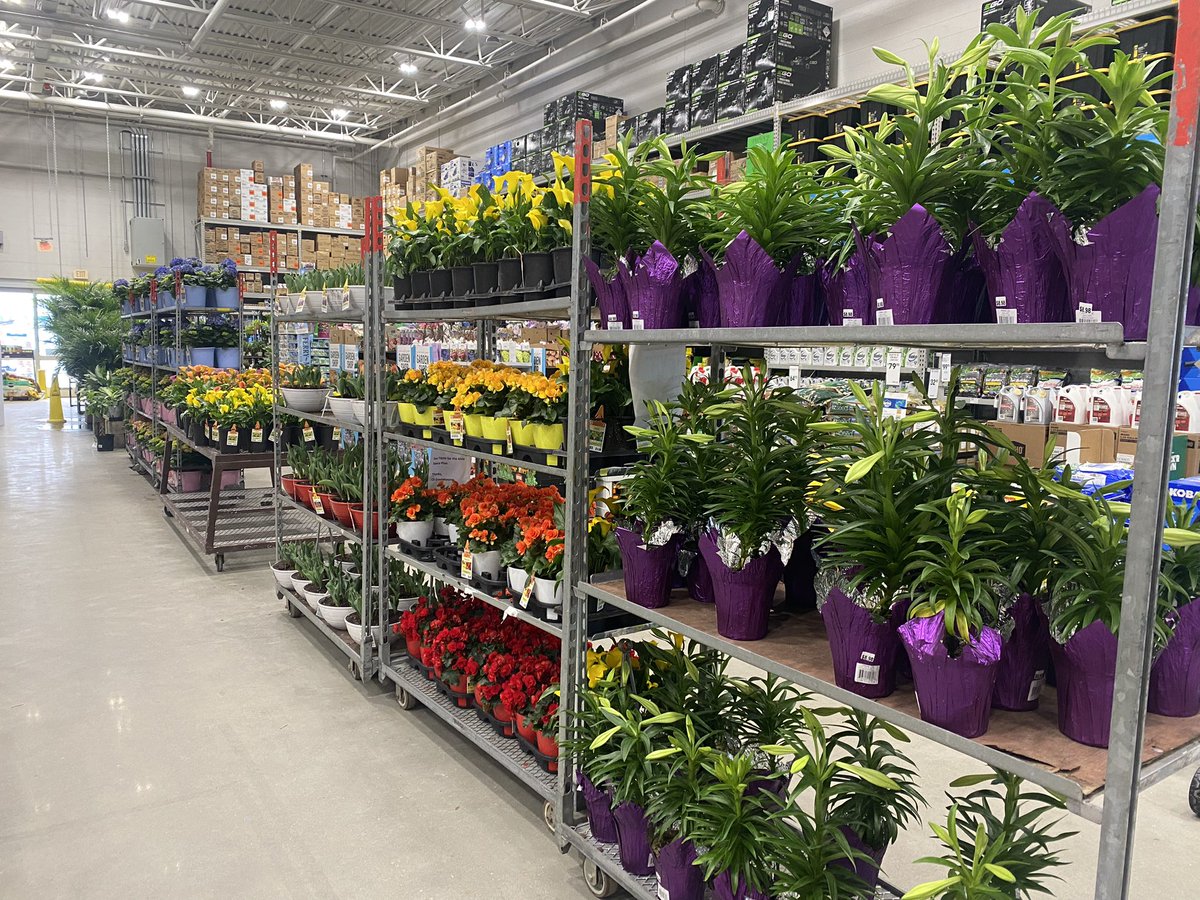 Spring fest 2023 !!! <a href="/AndyBlier2322/">Andy B</a> <a href="/Anthony_Battle1/">Anthony Battle</a> <a href="/gouletmd/">Mark Goulet</a> <a href="/lowes/">Lowe's</a>