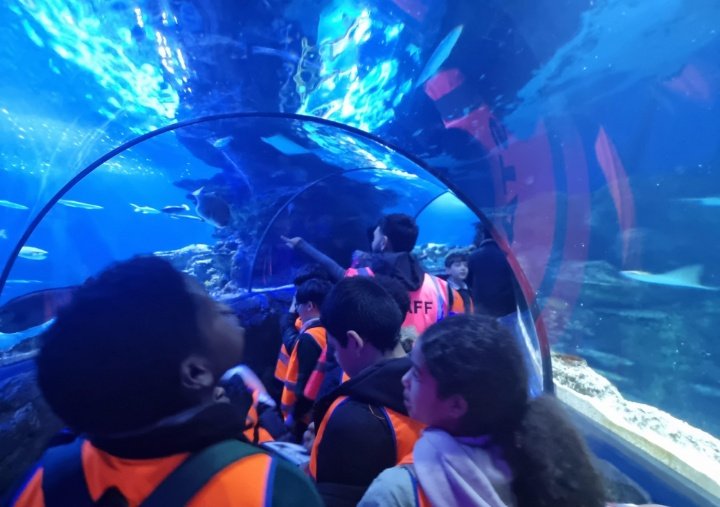 IgnatiusPrimary's tweet photo. Year 6 had a great time at Sea Life London where they got to see lots of fascinating animals!🐟🦈🐠 https://t.co/V5YnOmb95E