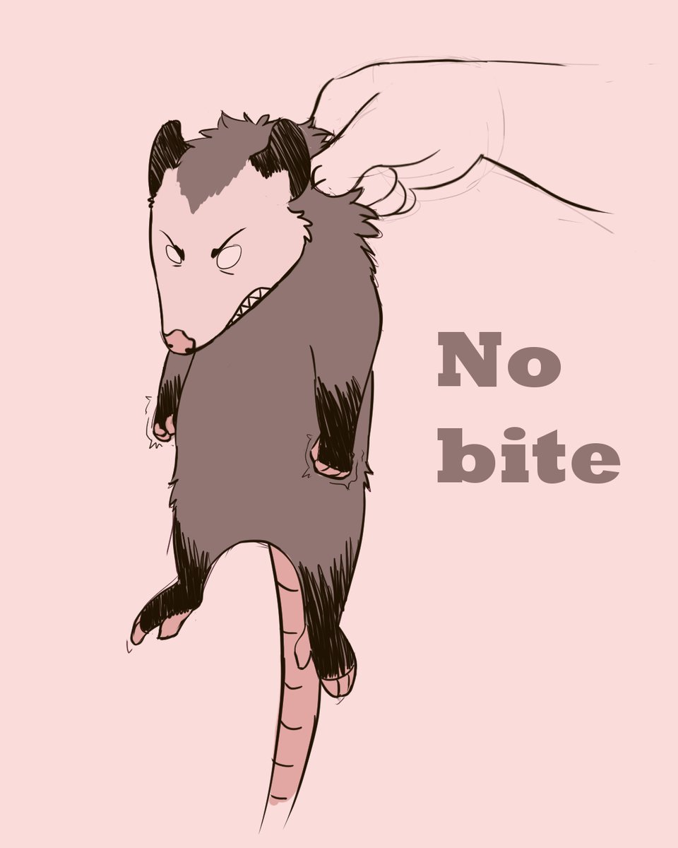 Trachito_'s tweet photo. quick little drawing https://t.co/MgvWkqvnis