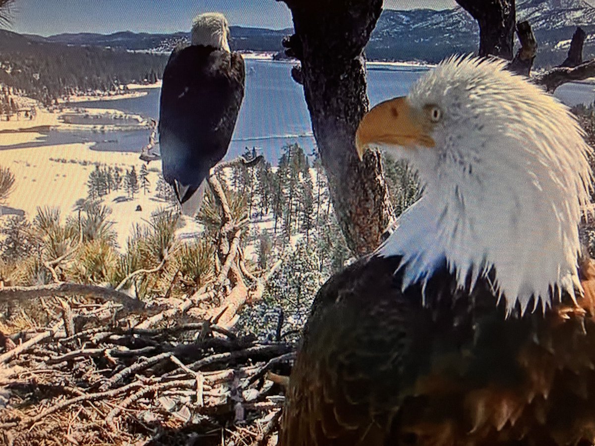 H Frank Gaertner tweet media