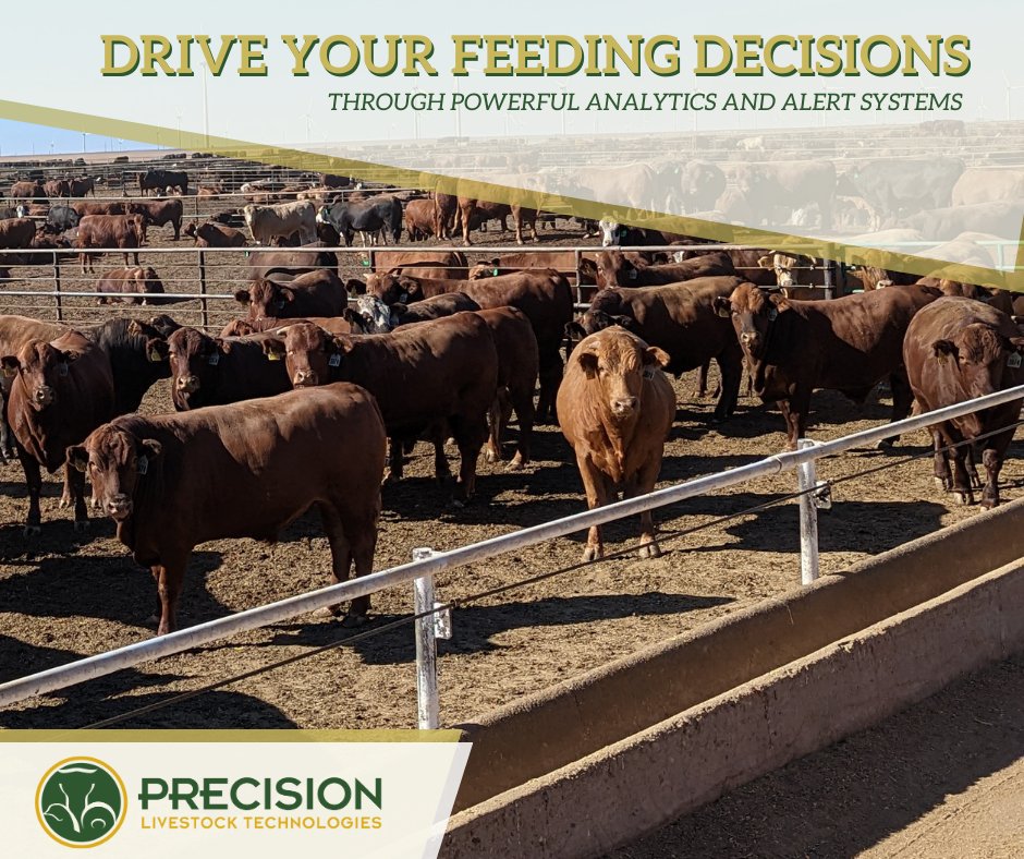 Why leave your feedyard management up to opinion when you could use objective data? Make decisions in real-time with metrics like:
🥩 Predicted weight
🥩 Weight distribution
🥩 Lights and heavies
🥩 Pricing grid analysis

✉️ info@precision-livestock.com
#agtwitter #cattle #agtech
