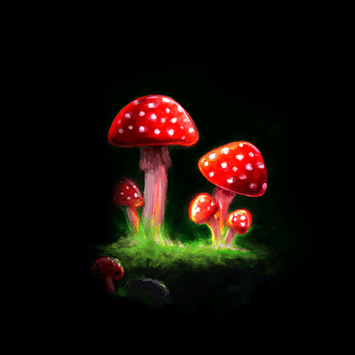 Magic Kongs are minting at <a href="/jpgstoreNFT/">jpg.store</a> in T-minus 2 hours! 

The Magic Kongs is a FULLY public mint of 4,888 NFTs
No WL necessary!

To celebrate this incredibly hyped mint, we are giving away 1 Cubensis Magic Mushroom 🍄

Mushrooms can be used to take your OG Kong on a wild trip