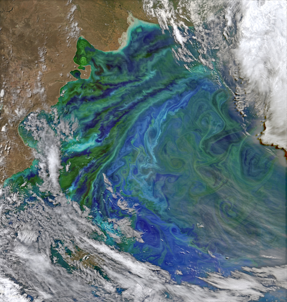 Ranjeet_Kaile's tweet photo. Patagonian Plankton Swirls via NASA https://t.co/4wbrlzWwKz #LifeInContext https://t.co/saiktGVpOa