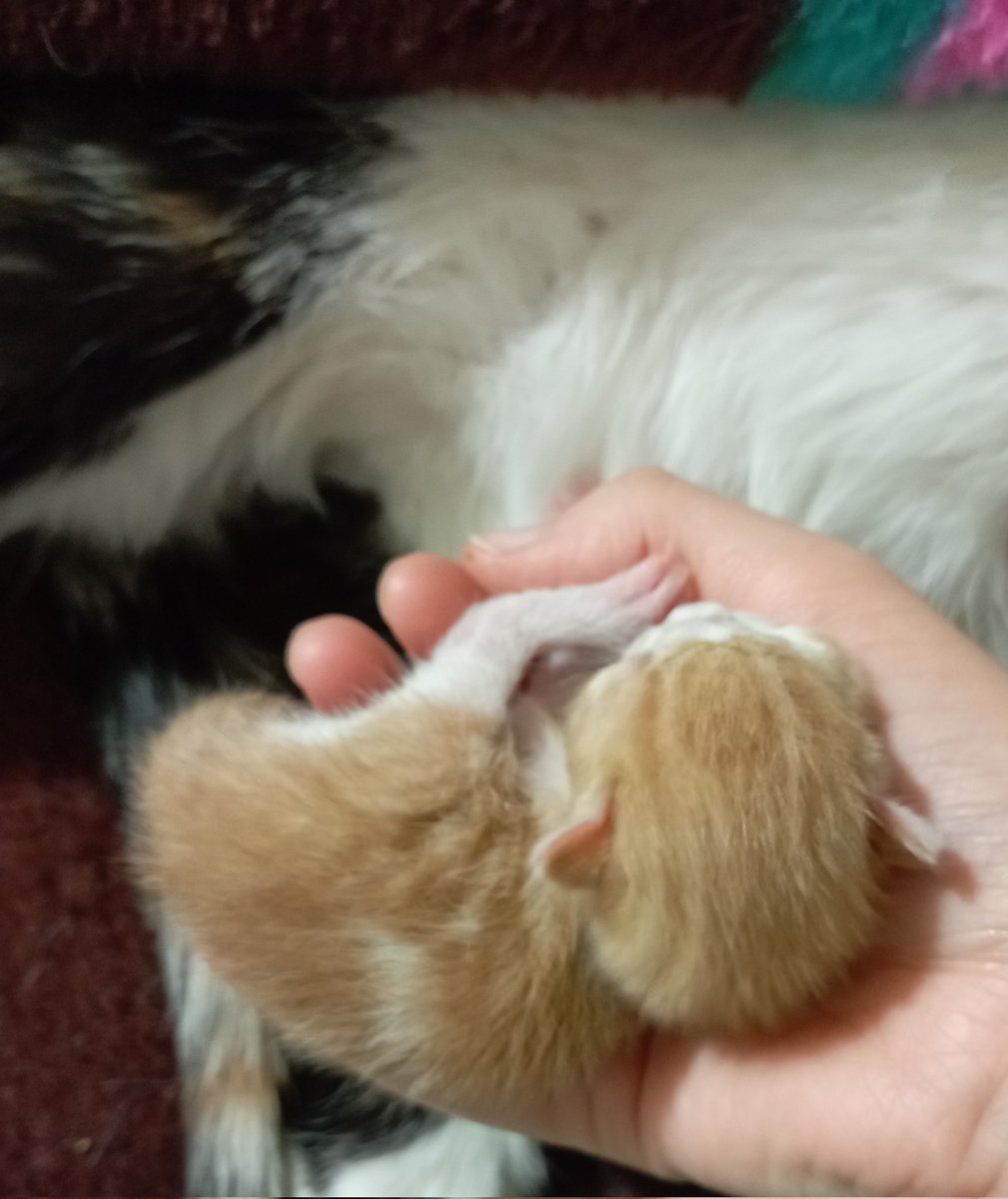 "
Evladımın evlat'ları 🤍