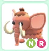 StitchedUpSwan's tweet photo. {Adopt me GW}
Rules:
Follow with notifs 🔔 
Stay as active as possible 🤭
Like ❤️ 
Retweet ♻️ 
Tell me your favorite jungle animal 🦓 
Extras in thread 🧵 
Ends at 100+ entries! (Or less)
Winner wins: https://t.co/IgLzIxNI0N
