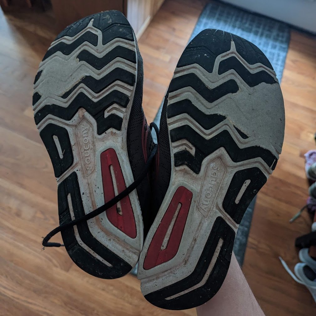 Logan Ward tweet media