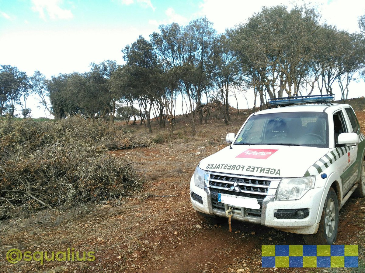 squalius's tweet photo. ℹ️⚠️🌳 #InfoForestal #Madrid
🚨El 1 de ABRIL, finaliza el periodo hábil de podas, limpias y aclareos de encinas en montes particulares.
#AgentesForestalesCM 🚔 https://t.co/j6um85KtRb