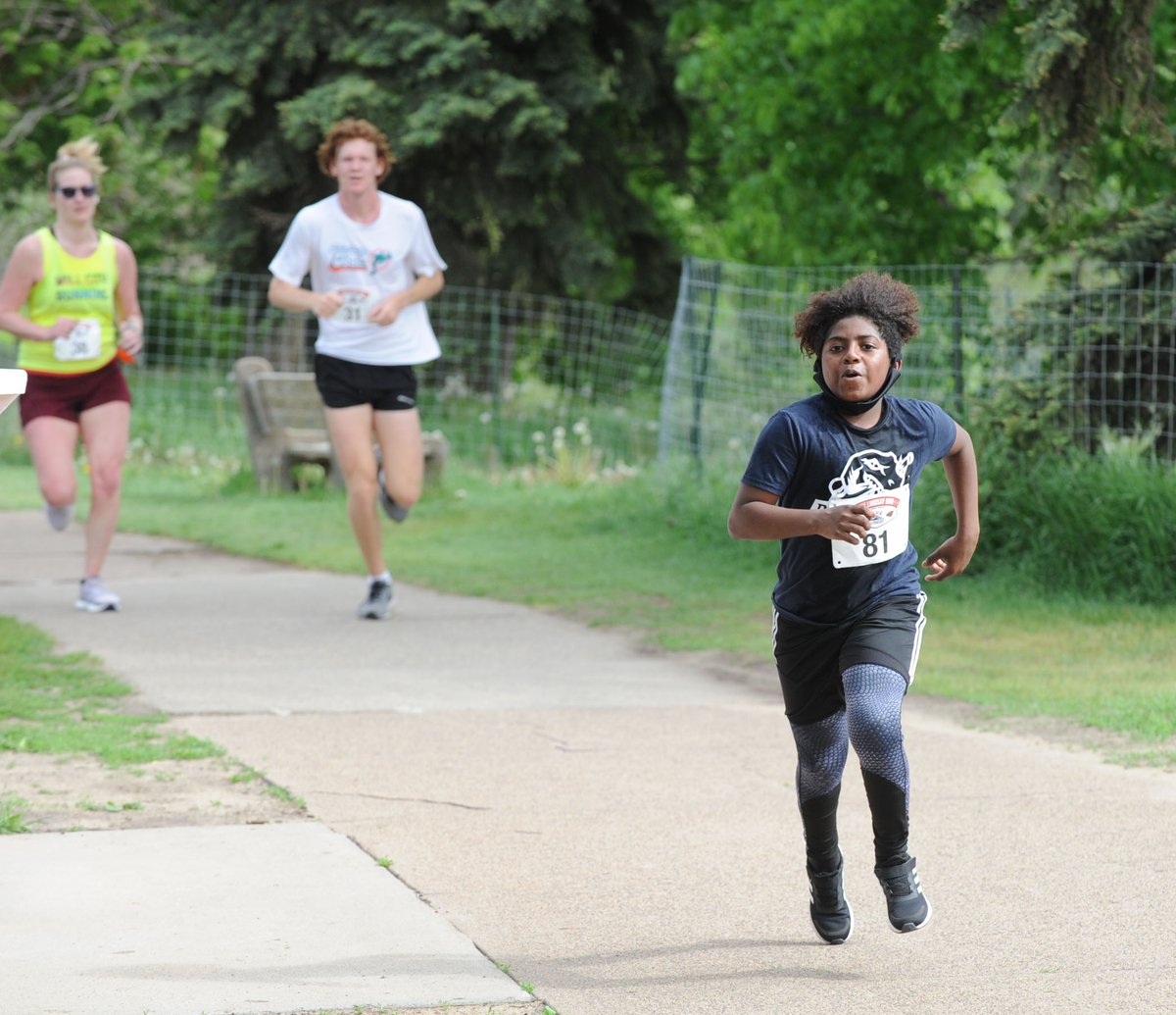 DinoMights tweet media