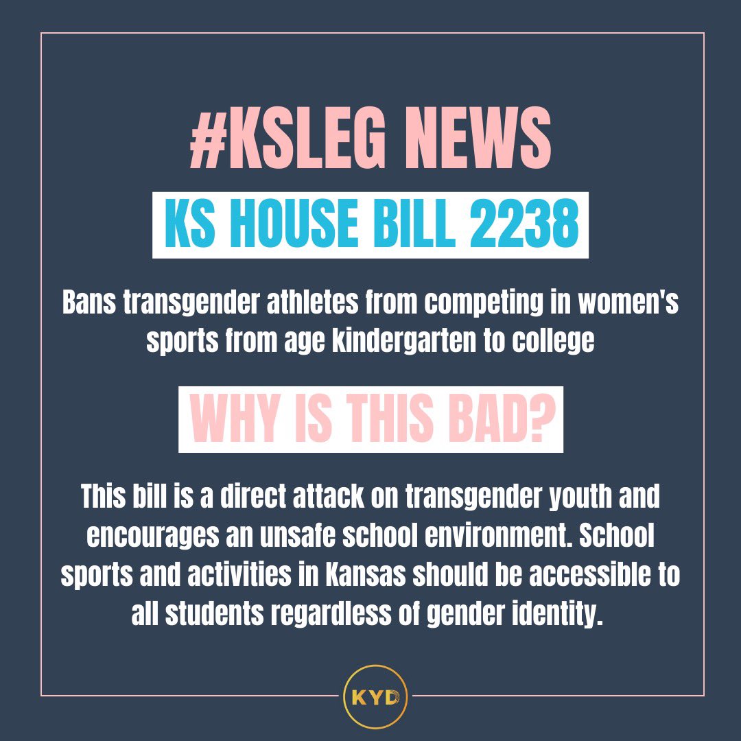 KansasYoungDems's tweet photo. Transgender Day of Visibility is dedicated to recognizing the resilience and accomplishments of the trans community 🏳️‍⚧️

#transdayofvisibility https://t.co/Lj2abi6RR3