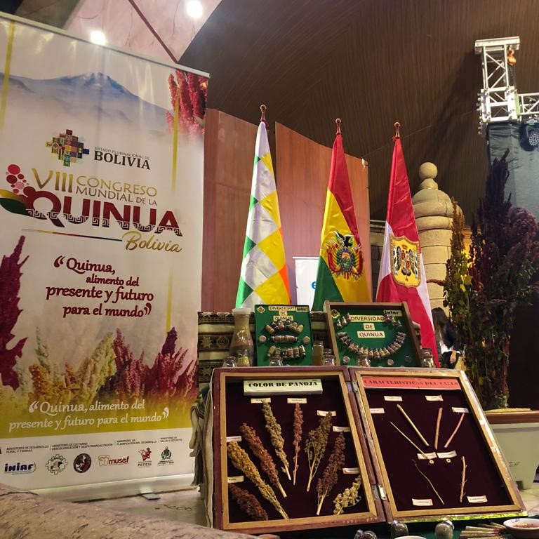 u_ikiam's tweet photo. 🌾💡La Dra. Nathaly Maldonado, profesora de IKIAM, compartió sus valiosos conocimientos y experiencia en la presentación titulada "Herramientas moleculares aplicadas a un cultivo desatendido".
#Quinoa #Fitomejoramiento #Ciencia #IKIAM #Investigación #Agricultura #Cultivo https://t.co/b0azSl7IWr