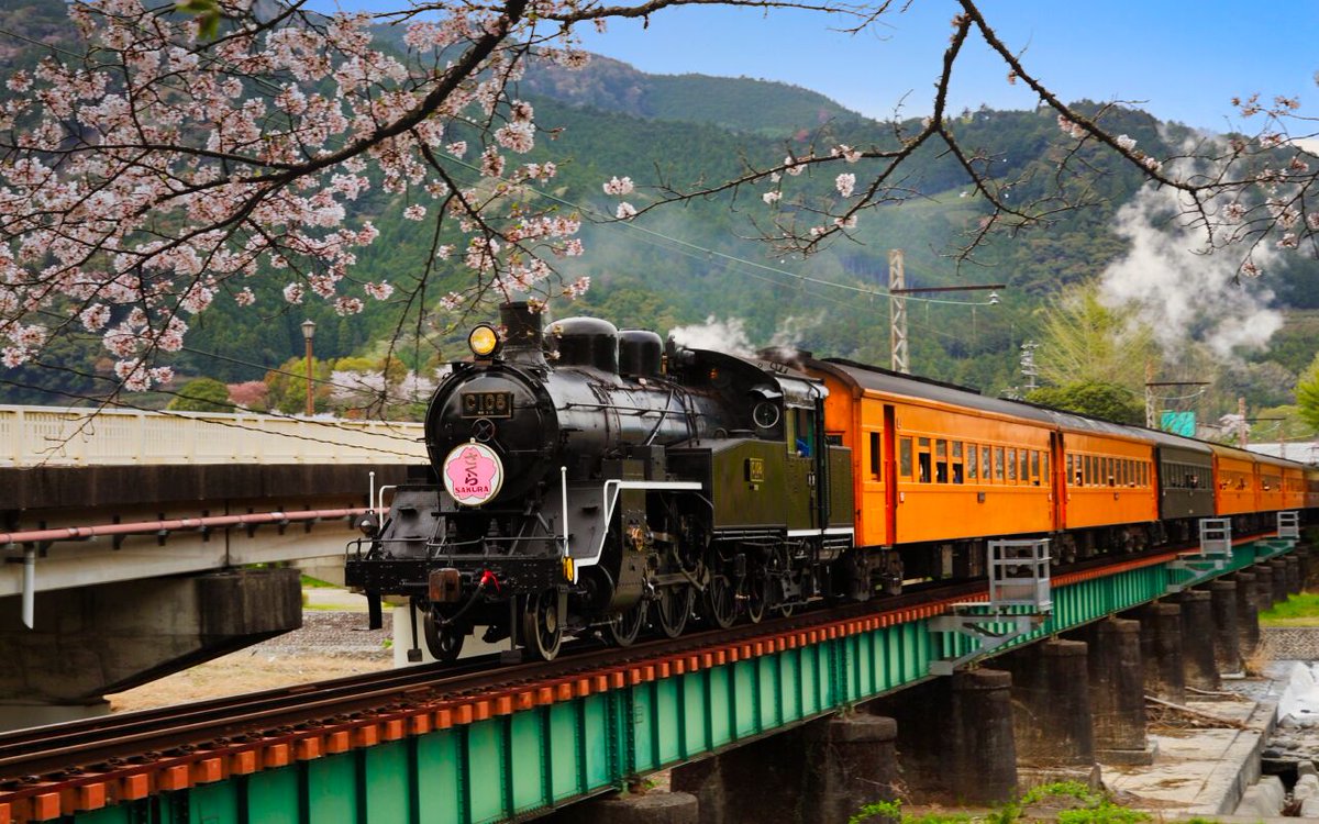 yujiida0510's tweet photo. 春の大井川鉄道

#大井川鉄道 #SL #蒸気機関車 #さくら  #桜 #染井吉野 #ソメイヨシノ https://t.co/HhI5hKD9mj