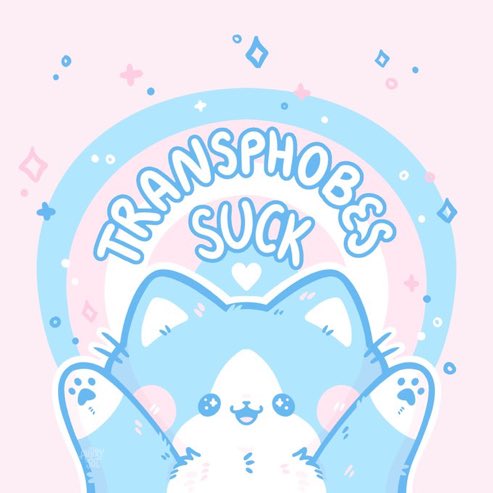 #DiaDeLaVisibilidadTrans