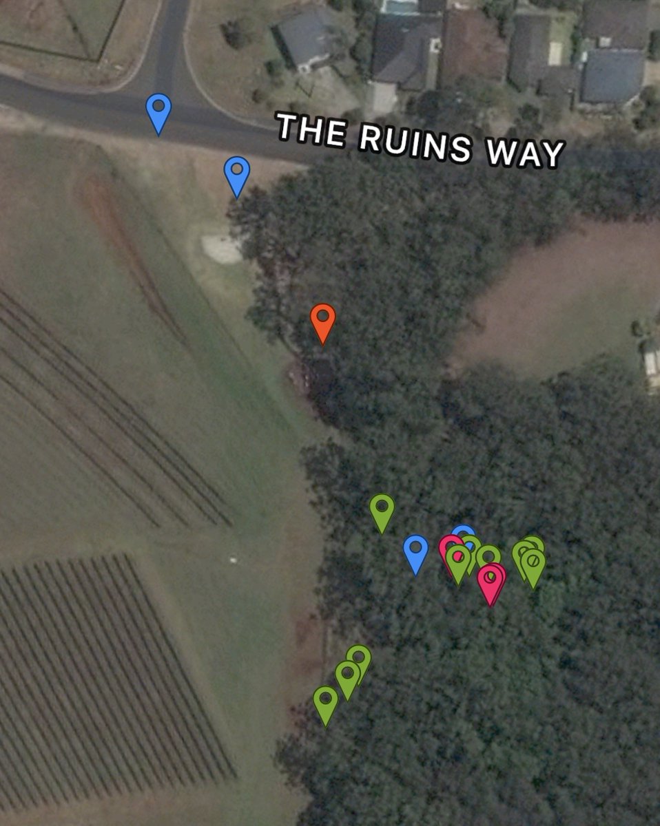 iMerinet's tweet photo. Using @inaturalist I created a project for my school. We photographed living things at 3 sites nearby. We used the exported data for Maths and Science we found 3 vulnerable animals and one critically endangered bird.
#CitSciMonth #STEMnNature #STEMinTheWorld #AussieED https://t.co/aSUNUCcX7A
