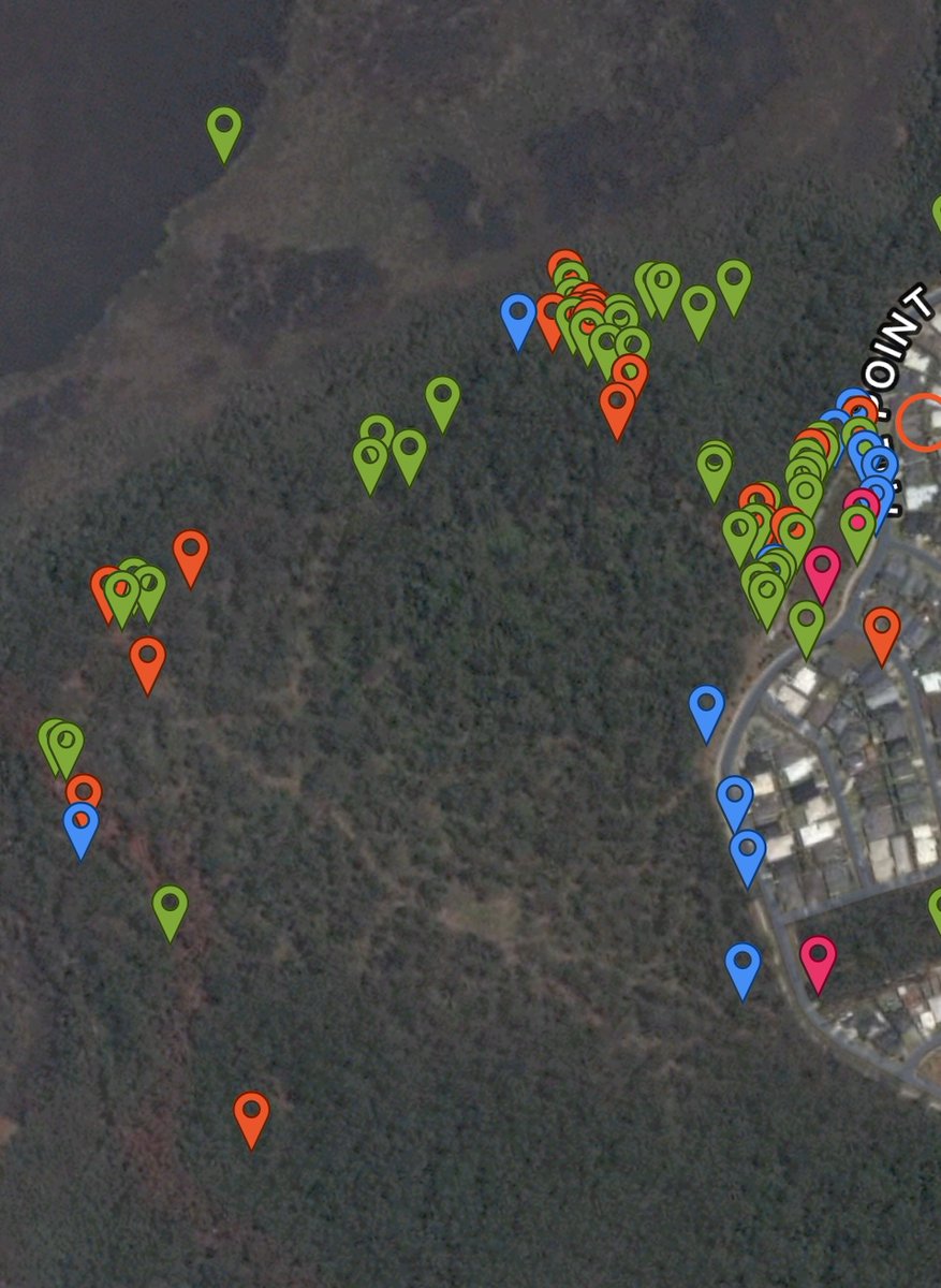 iMerinet's tweet photo. Using @inaturalist I created a project for my school. We photographed living things at 3 sites nearby. We used the exported data for Maths and Science we found 3 vulnerable animals and one critically endangered bird.
#CitSciMonth #STEMnNature #STEMinTheWorld #AussieED https://t.co/aSUNUCcX7A