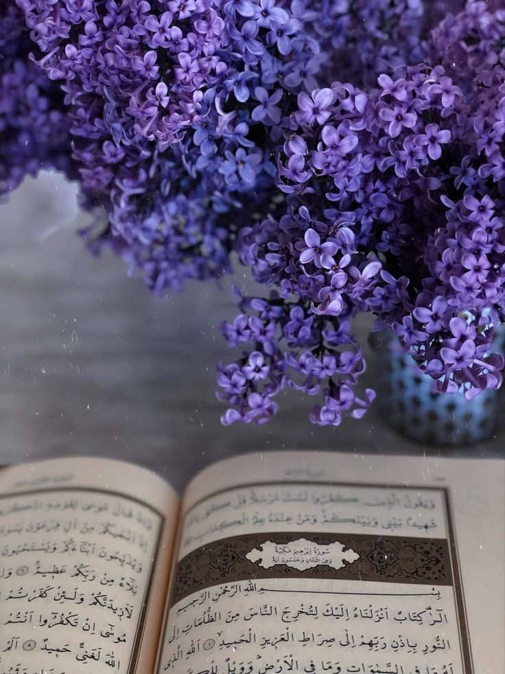 nikbinbirseyyah's tweet photo. "Günahım çok, tövbelerim eksik. Ben bana iyi gelemedim. Sen bana iyi gelecek hâyırlar ver ey Râbb'im." https://t.co/sKCgqNeUkH