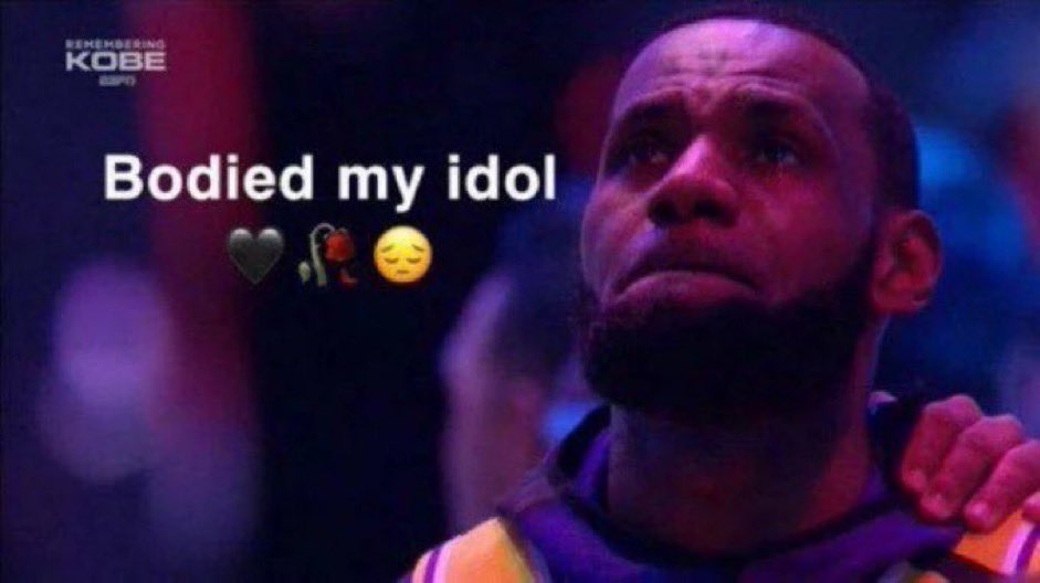 LeBron getting owned by Jaden Mcdaniels