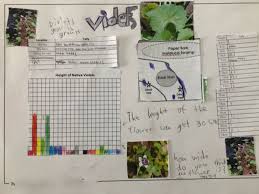 iMerinet's tweet photo. Exploring nature can also be done through art, with #NatureJournalling @JohnMuirLaws has resources for teaching how to draw in natural sciences. Students need knowledge of the nature, this brings custodianship.
#STEMnNature #StemInTheWorld #CitSciMonth #AussieED https://t.co/cV0GaB0aWc