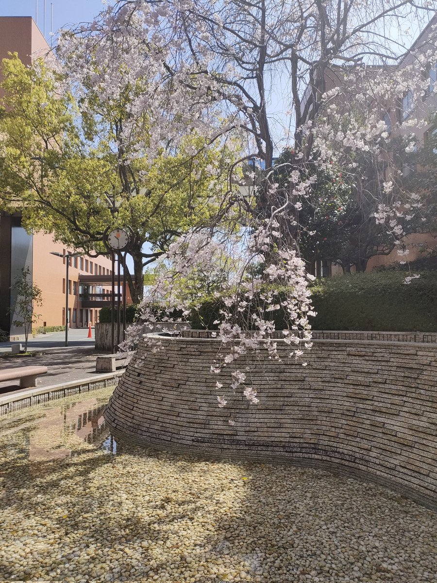 SoundFactory2's tweet photo. 改めましてご入学おめでとうございます🌸🌸🌸
Sound Factory部は皆さんの入部をお待ちしております🎸🎸
 #広島経済大学  #入学式  #軽音楽部 https://t.co/mRYSGVVT83