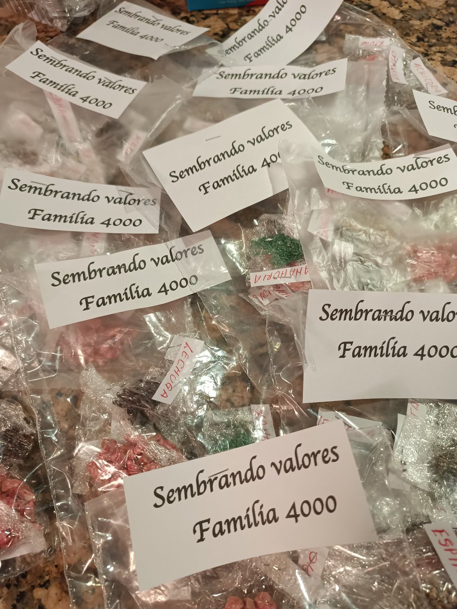 DanielGalliazzi's tweet photo. Continuamos  con el programa "Sembrando Valores" A partir de mañana las semillas se retiran en carnicería Dickinson y como siempre de forma gratuita.
Familia 4000 promoviendo la huerta familiar. https://t.co/zMG1coIcFk