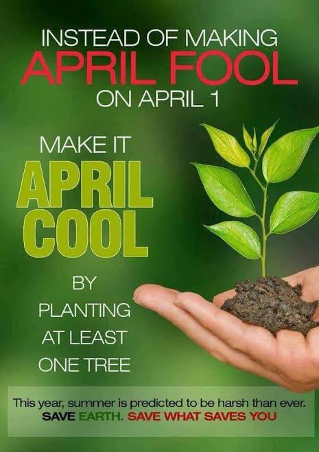 April is known for beautiful spring weather, and right about the time when the Easter bunny will make an appearance

Let's welcome it not just with laughter and pranks, but by welcoming a tree which will bloom and spread positivity and cheer all around.
#AprilCoolDay