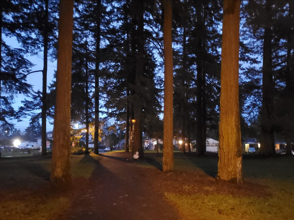 Keep Lights on at Parks with Your Support, Tomorrow's E-Recycling &amp; Sustainability Event, the Portland Engagement Project, Building a Better 82nd Ave neighborhood updates - mailchi.mp/532c9d197454/l…