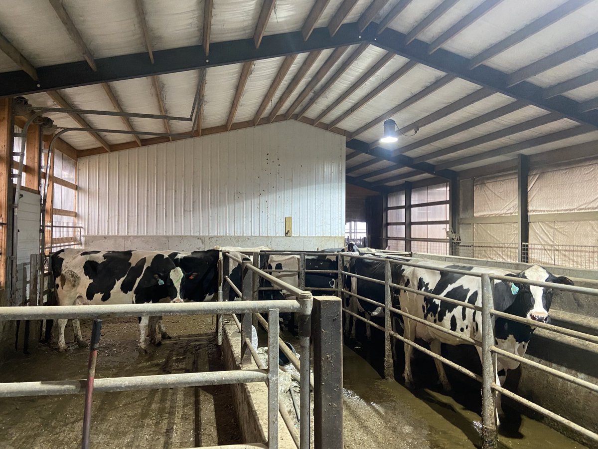 Karl Burgi tweet media