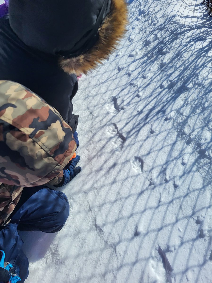 misssammantha's tweet photo. Yesterday's visit to the park gave us so many wonderful gifts from nature. #ocsbOutdoors #ocsbDL #ocsbJoy #WhenWillSpringArrive?
@StEmilyOCSB @thebearskinder https://t.co/8IRnDwrNND