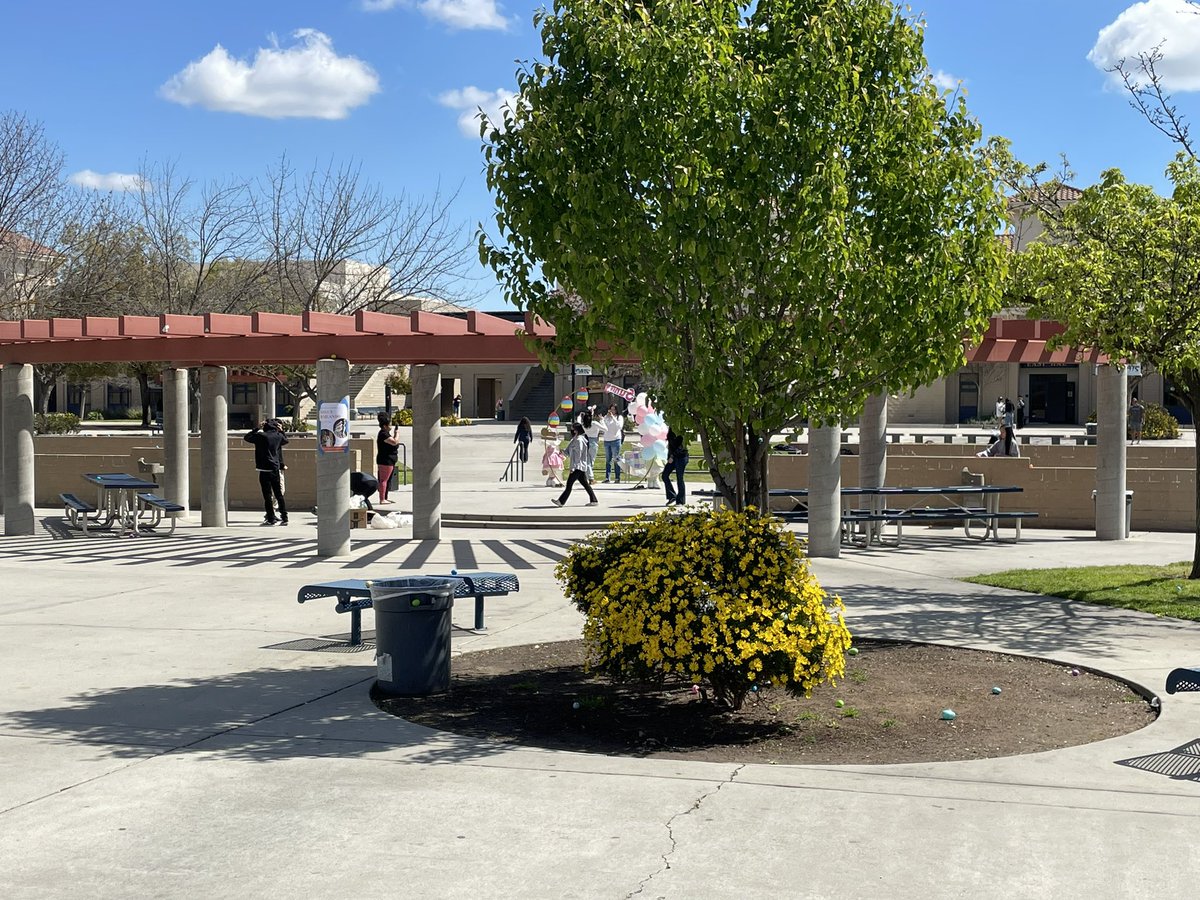 meandermath's tweet image. Easter Egg Hunt and Photo op with Sunny the bunny!  Appreciate our student leadership for creating a fun activity on a beautiful Friday before spring break! Prom tickets and yearbooks were up for grabs! 
💙💛 Go Wildcats! 💛💙 
@SHS_Leaders