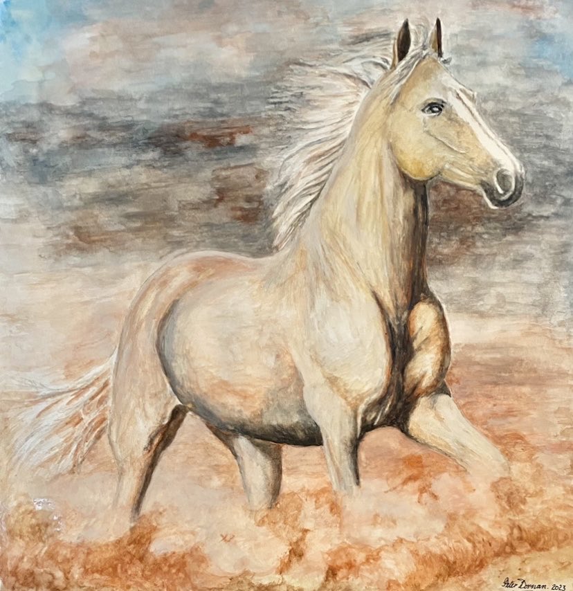 Peter Dornan AM tweet media