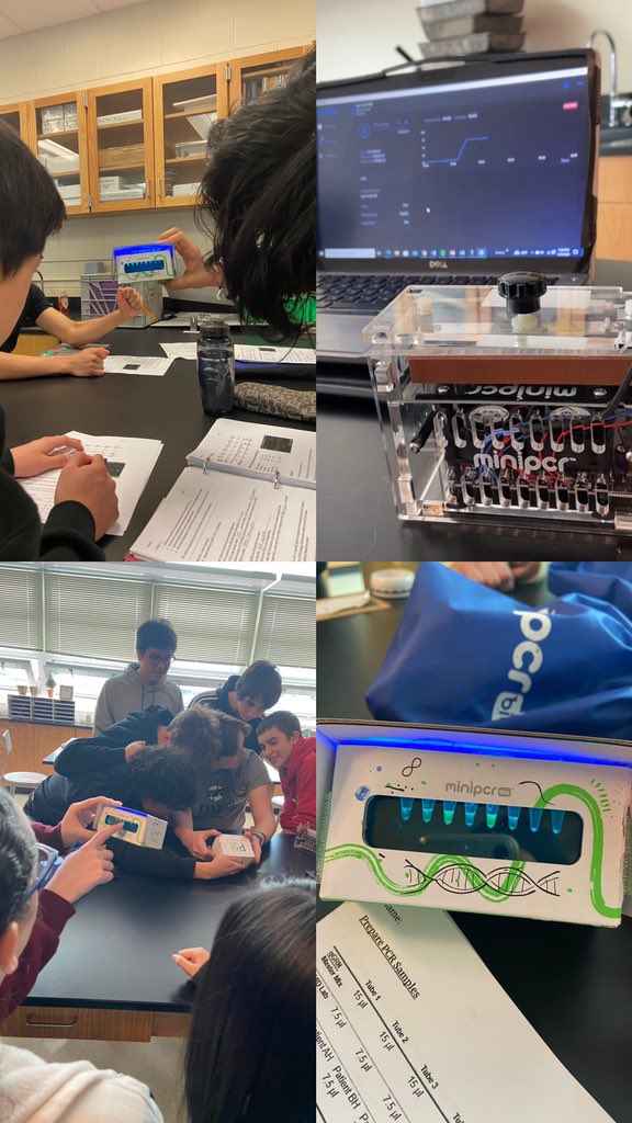 Ms_Calasso's tweet photo. Lab Days are the Best Days!🤩

Bio Honors used qPCR to diagnose fictitious patients with a viral infection🦠

Bio students planted Wisconsin FastPlant seeds to start our growth &amp; development investigation🌱 @BectonHS #BiologyLab @miniPCR #HandsOnLearning #BectonScience https://t.co/uwBCumqjCc